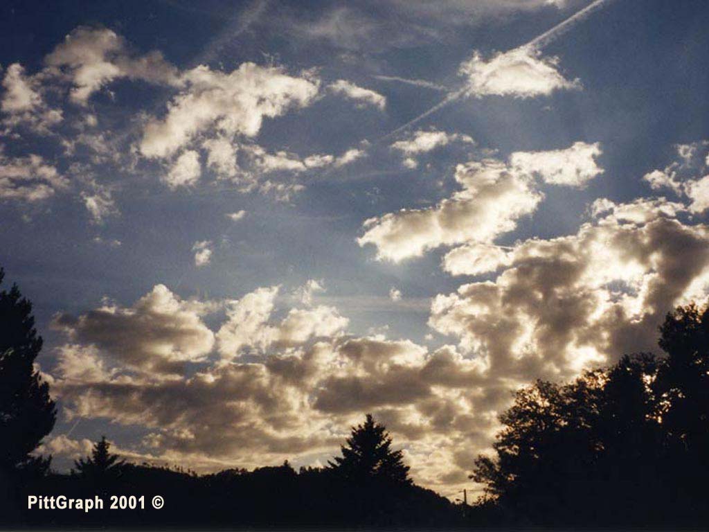 Ciel
